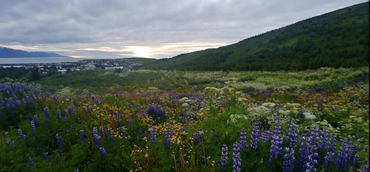 B&B Rooms Husavik 3 Luaran gambar